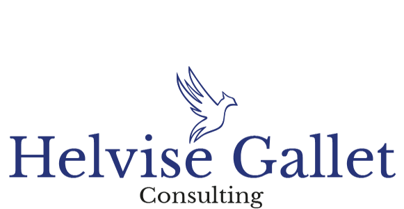 logo helvise gallet consulting